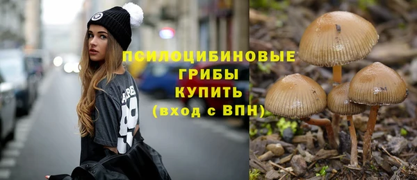 ALPHA PVP Арсеньев