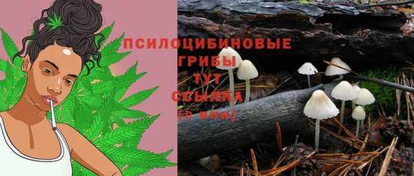 ALPHA PVP Арсеньев